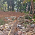 Thane City Trees are Cut